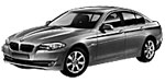 BMW F10 P00BD Fault Code